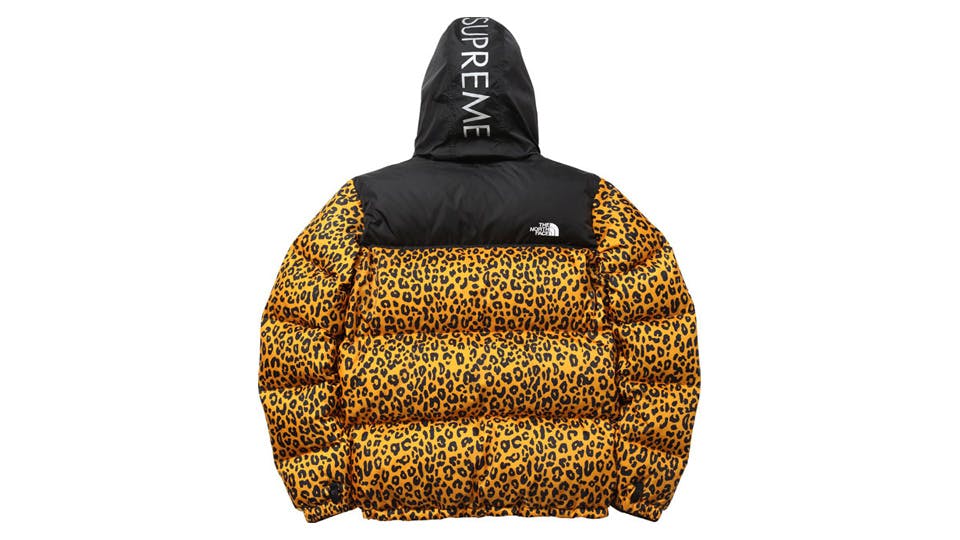 supreme north face multicolor